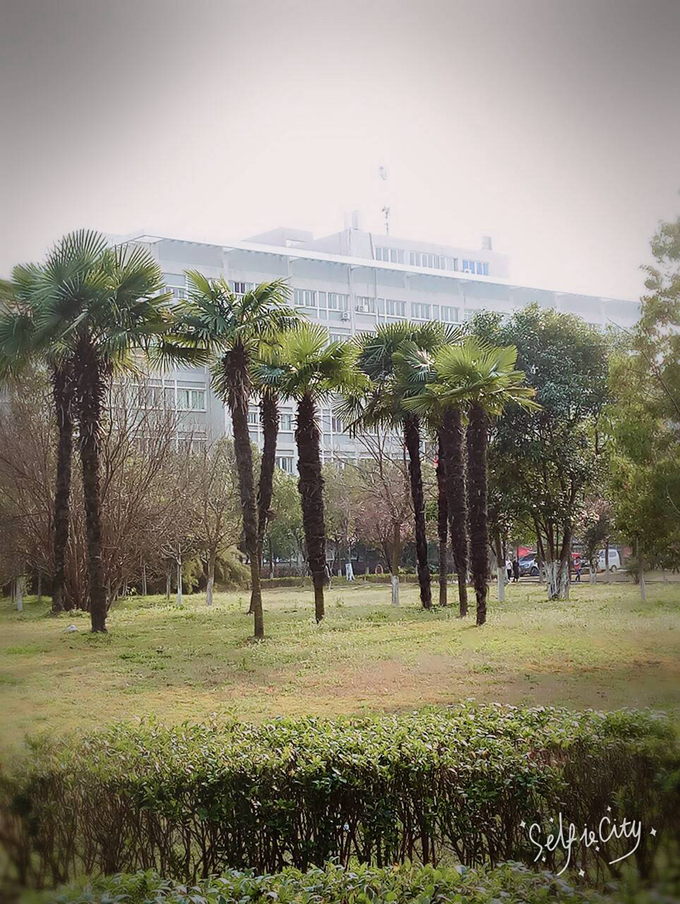 27 会计169郑梦.jpg